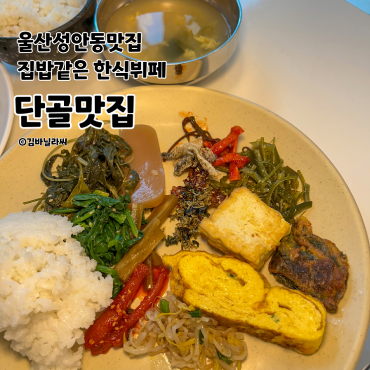  울산 성안동 맛집 단골맛집 다양한 반찬 집밥같은 한식 뷔페 밥집