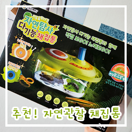  어린이날 취향저격 어린이장난감 자연탐사 다기능 곤충 동물 관찰 채집통
