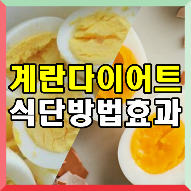  "3일 만에 -1.5kg? 계란 다이어트 직접 해봤습니다" "먹으면서 살 뺀다! 계란 다이어트 리얼 후기" "계란만 잘 먹었을 뿐인데… 뱃살이 쏙!"