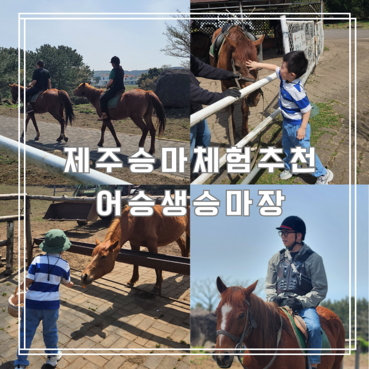  제주승마체험 추천 아이와 함께한 어승생승마장 가족여행 후기
