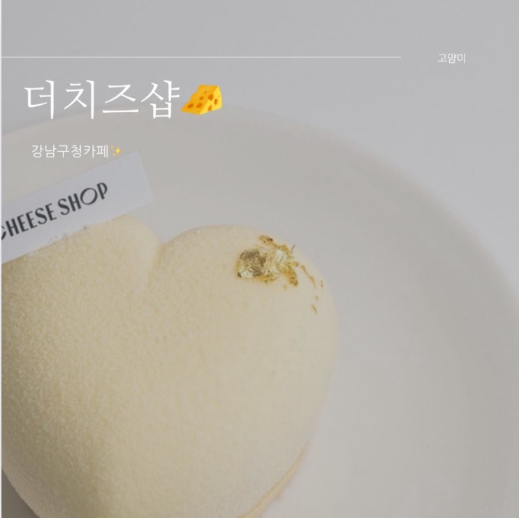  강남구청카페 ㅣ 더치즈샵 강남구청점ㅣ 치즈덕후들의 성지카페ㅣ 강남구청역브런치