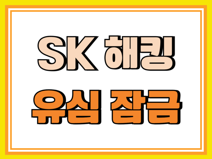 SK 해킹 유심 잠금 비밀번호 설정 소용없는 이유 SK 해킹 유심 잠금 비밀번호 설정 소용없는 이유