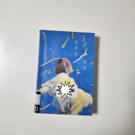 눈부신 안부, 거짓말로 전한 다정한 안부, 백수린