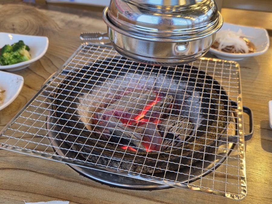 금오갈매기 사진 6