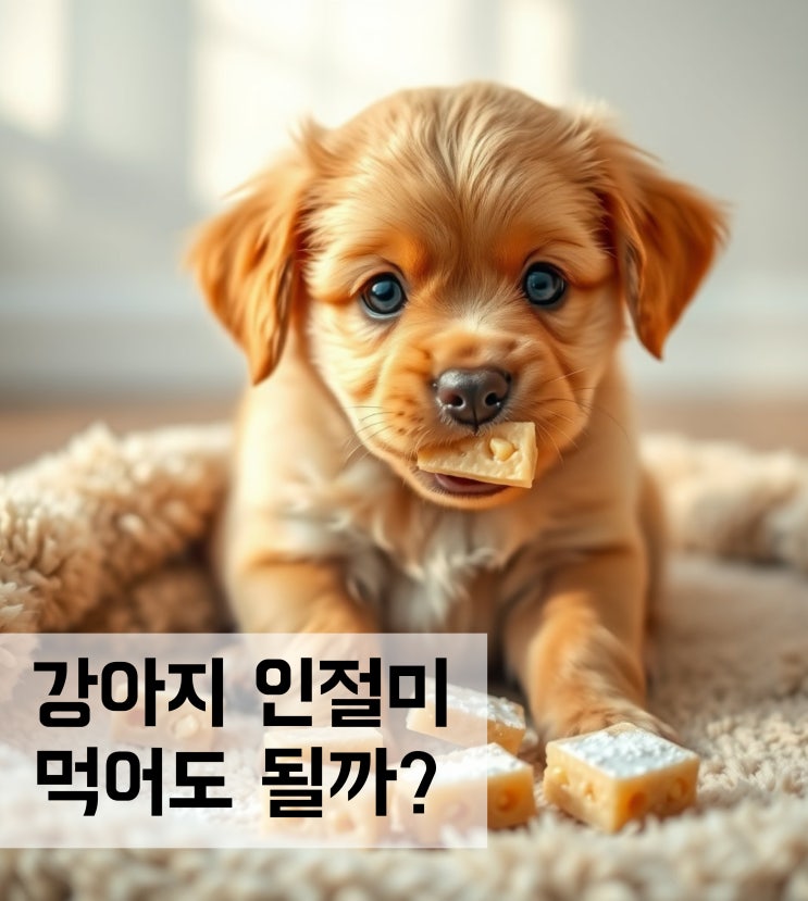  강아지 인절미 먹어도 될까?