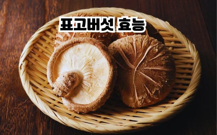  표고버섯 5가지 효능 부작용 고르는법 먹는법 건표고효능