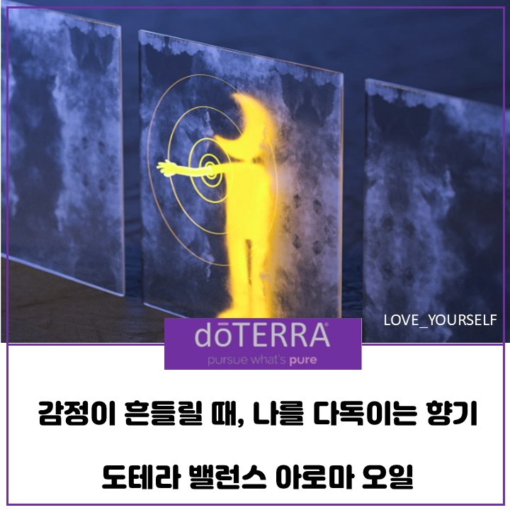  감정이 흔들릴 때, 나를 다독이는 향기 - 도테라 밸런스아로마오일