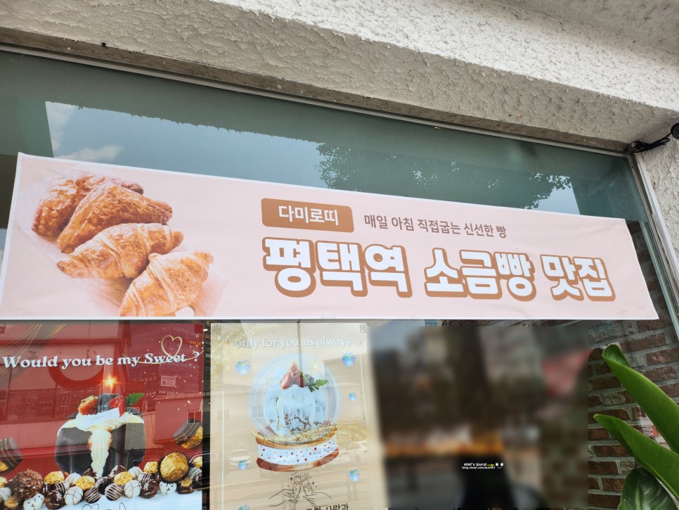 다미로띠 평택점 사진 3