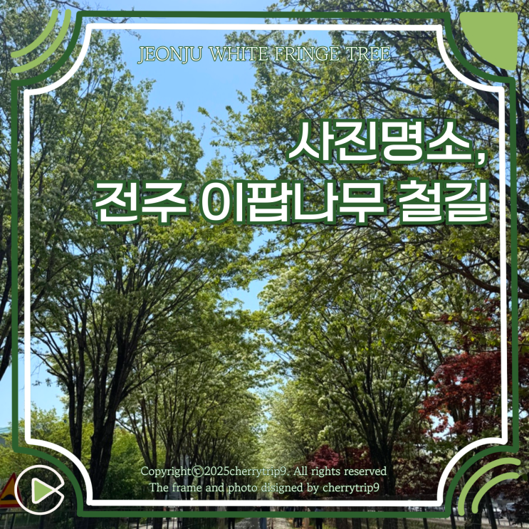  전주 이팝나무 철길 :: 기본정보 개방 시간 주차
