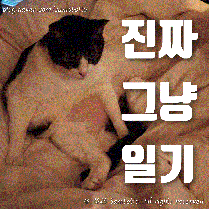  진짜 그냥 일기 | 딸기떡 떡볶이, 내돈내산 감자옹심이로 집에서 느끼는 강원도의 맛, 토마토쥬스 만드는법