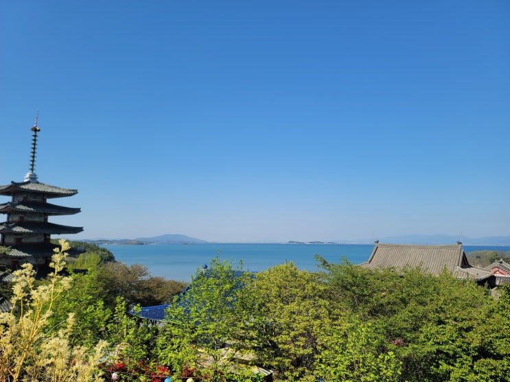 [태안 절] 안면도에 있는 안면암 갔다 오기!