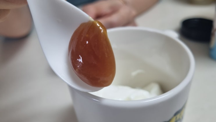  봄철 나른함 극복! 활력 충전 마누카꿀 효능 체험기