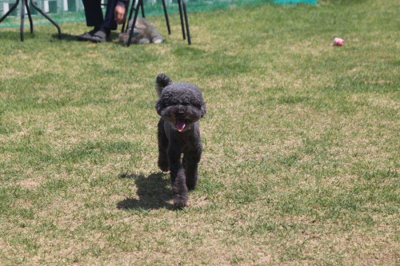 사진 9