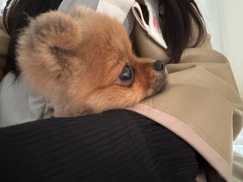 사진 3