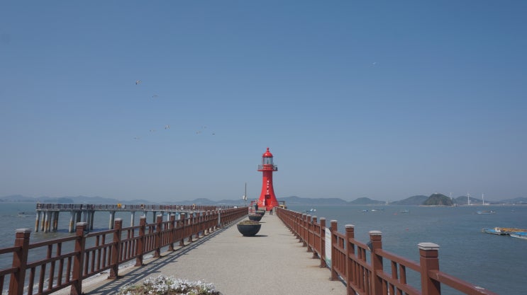  2025-04-28(월) 제부도 / 감뿌리바지락칼국수 / 제비꼬리길 / 빨간등대 / 해품가