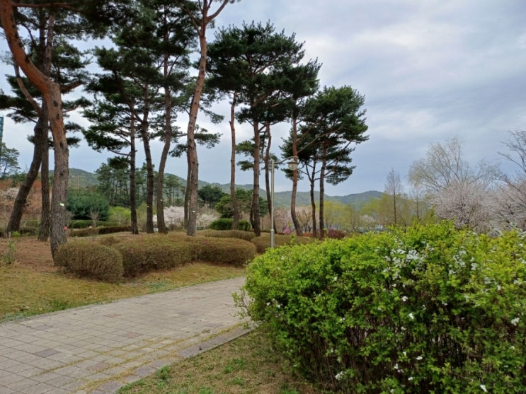 <b>길거리</b> 전도