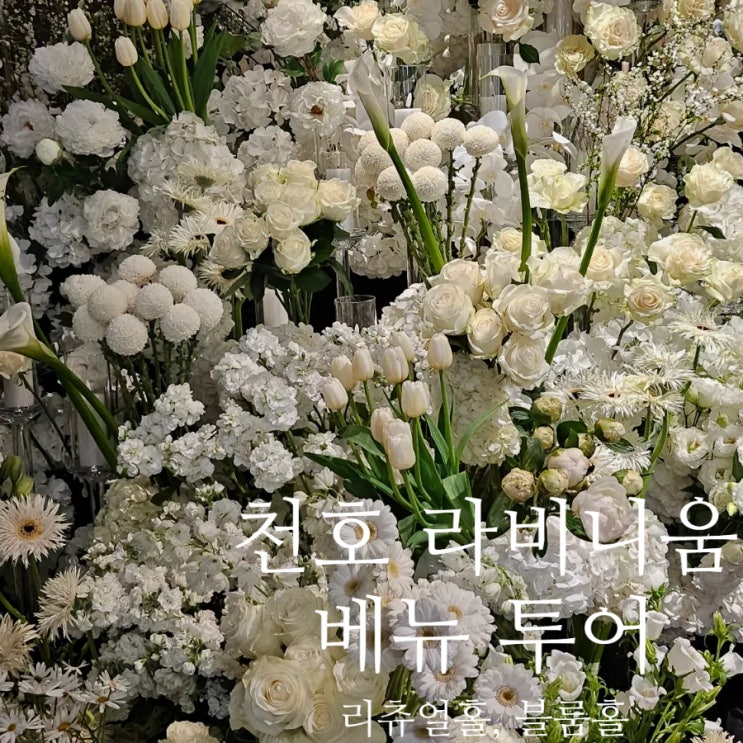  [w.03] 천호 송파 라비니움 베뉴 투어 / 리츄얼 홀, 블룸 홀