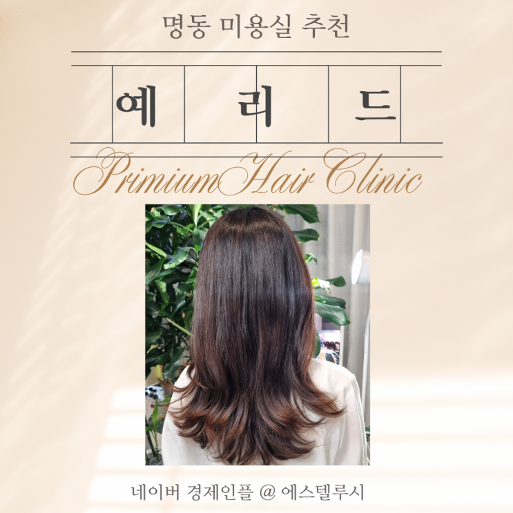  명동 미용실 추천, 예리드 손상모 프리미엄 헤어클리닉 잘하는 곳