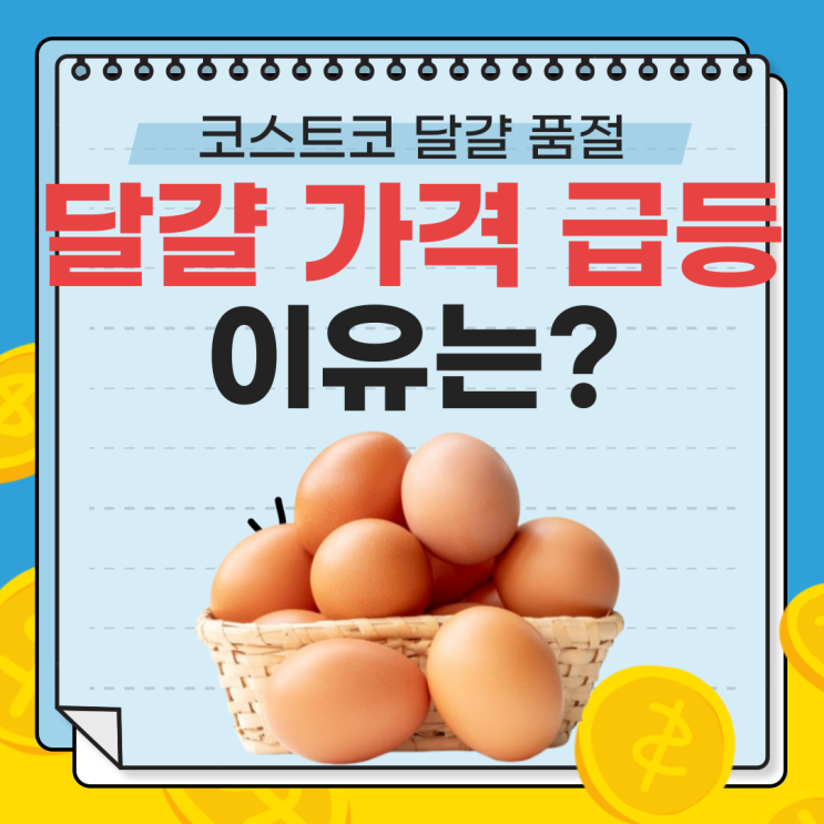  달걀 가격 급등 이유는? 코스트코 진열대가 텅 빈 까닭