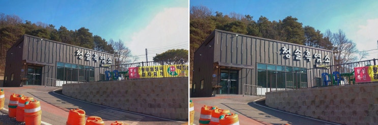 청솔흑염소 충주기업도시, 대영베이스cc 맛집으로 추천