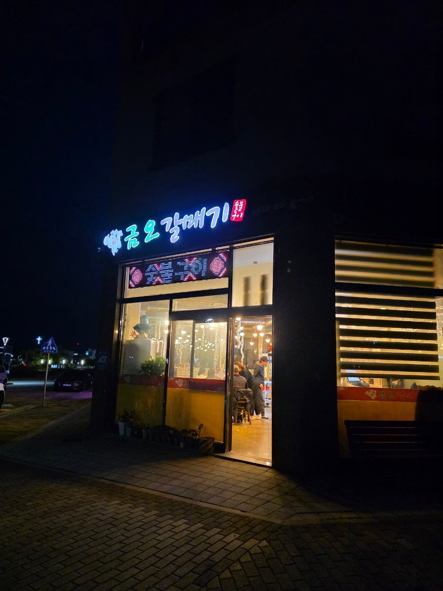 금오갈매기 사진 1