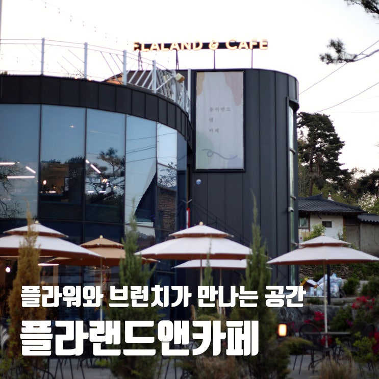  백운호수 브런치맛집 플라랜드앤카페 솔직후기
