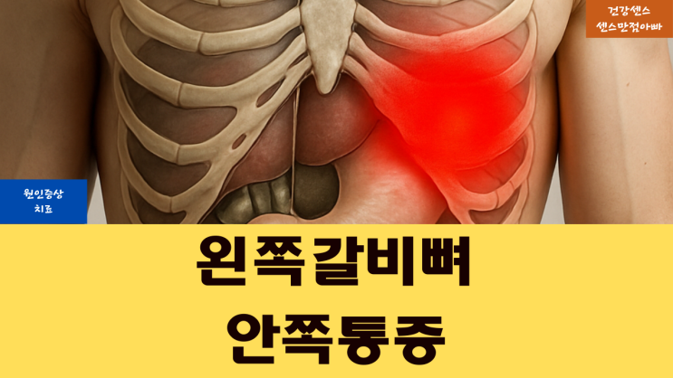  왼쪽 갈비뼈 안쪽 통증 원인 증상 및 치료