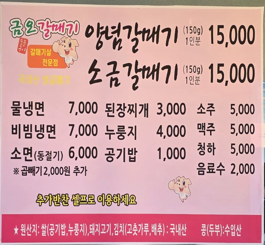 금오갈매기 사진 3