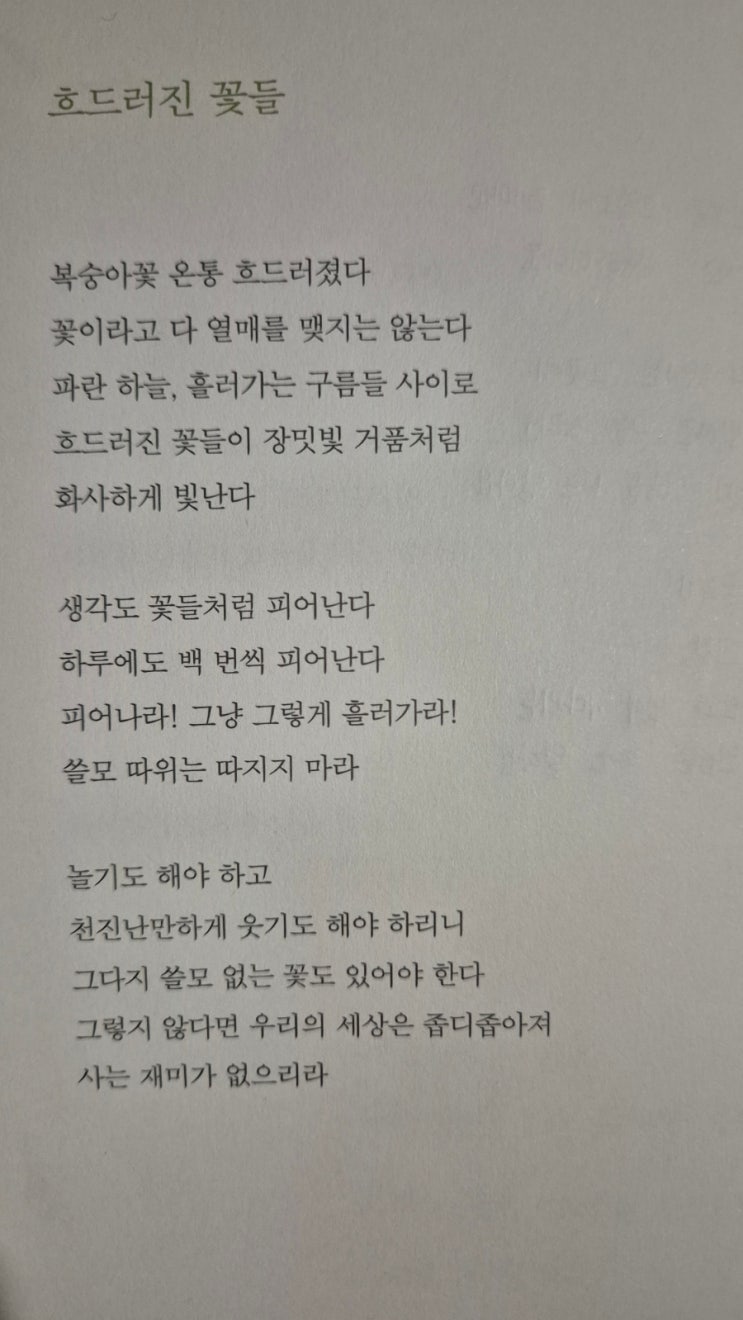  흐드러진 꽃들