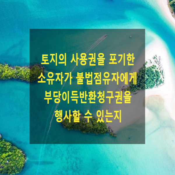  토지의 사용권을 포기한 소유자가 불법점유자에게 부당이득반환청구권을 행사할 수 있는지