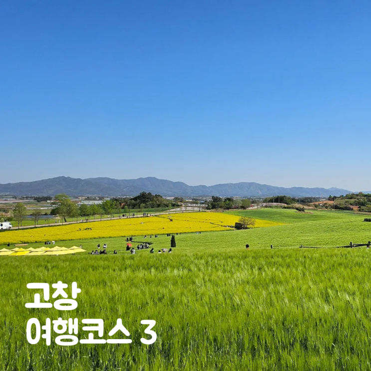  고창 청보리밭축제 무장읍성 여행 전주회관 맛집까지 코스