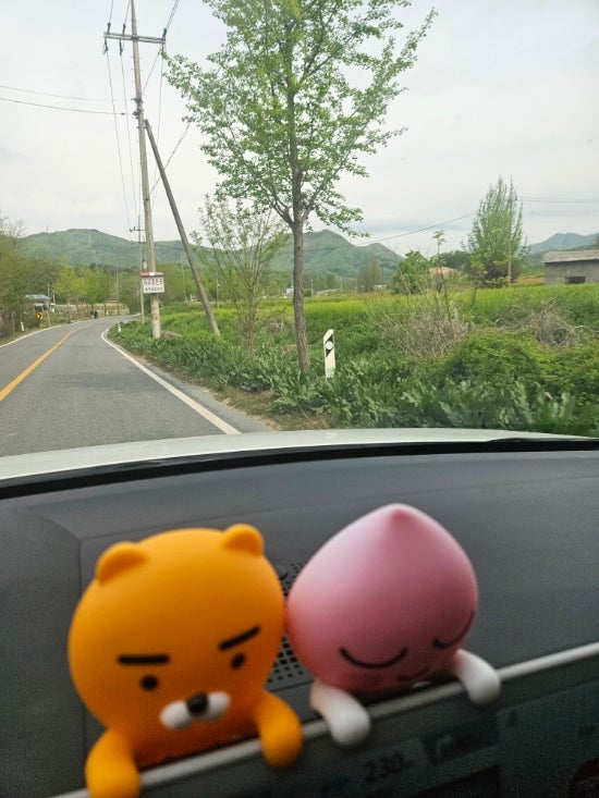Jangjeouljeosuji photo 1
