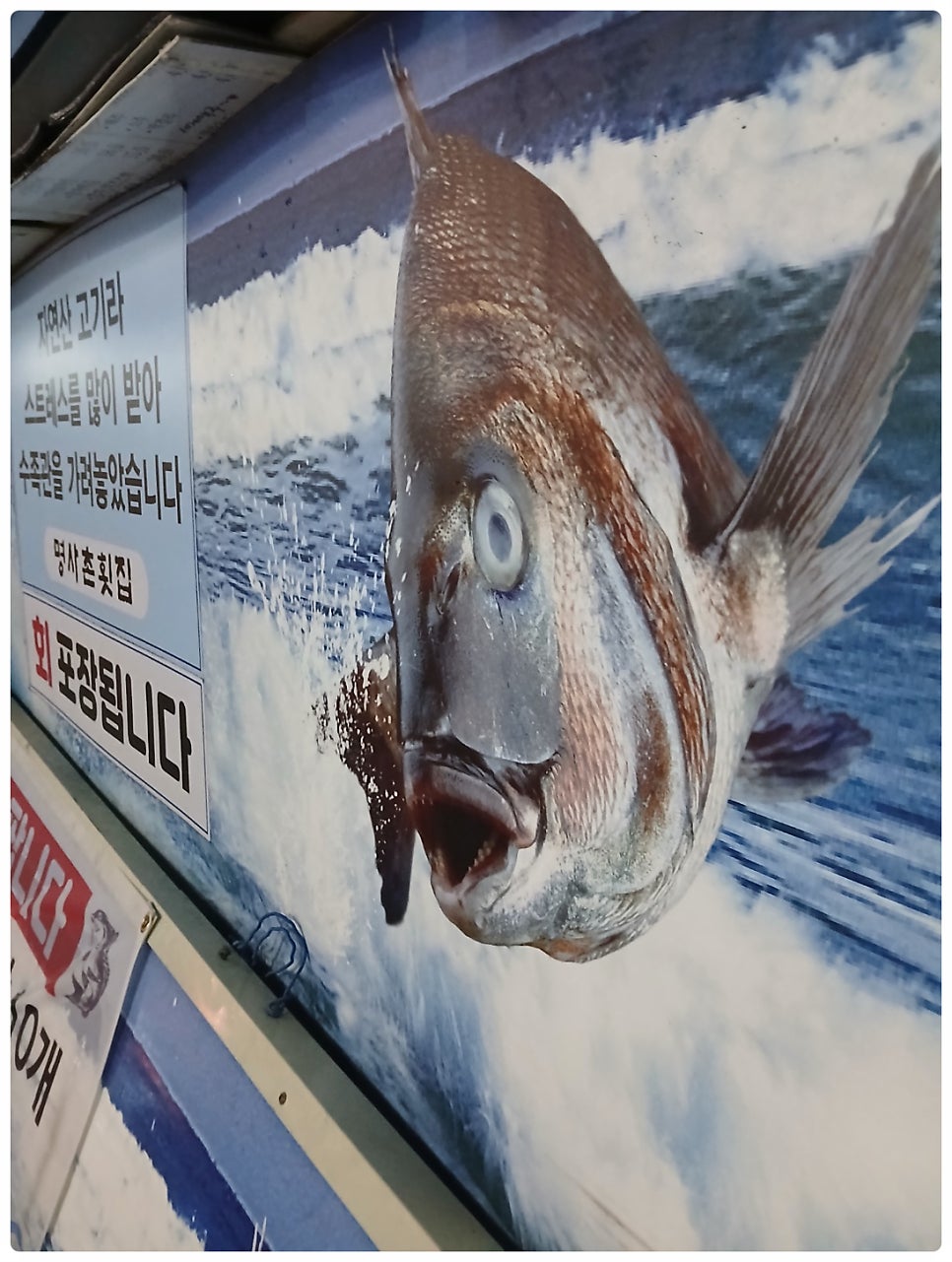 명사촌횟집 사진 5