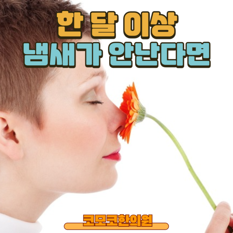  감기, 코로나 후애 냄새, 후각에 문제가 생겼다면 QNA