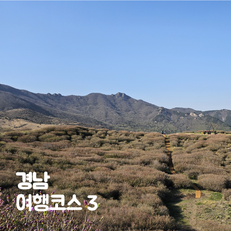  생초국제조각공원 황매산 군립공원 흑태찜 경남 여행코스 3