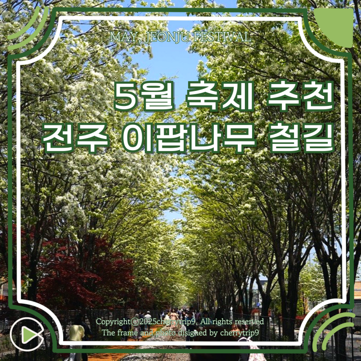  5월 전주 이팝나무 축제 기간 야간 개방 볼거리
