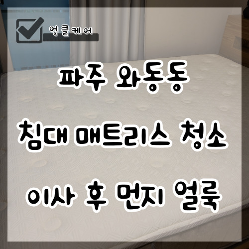  침대 매트리스 청소 이사 먼지 제거 파주 와동동