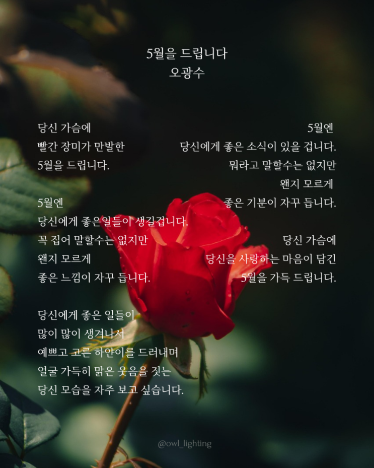 5월을 드립니다 | 안녕, 5월