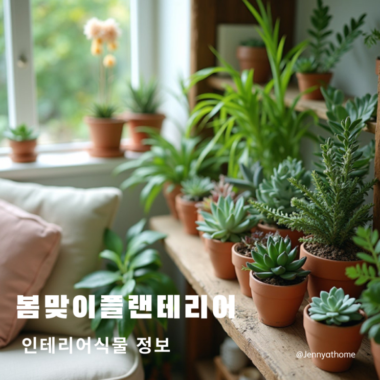  봄맞이 플랜테리어에 어울리는 다육이이름(다육이라울, 프리티다육, 다육이홍옥, 경산다육)과 다육이꽃대