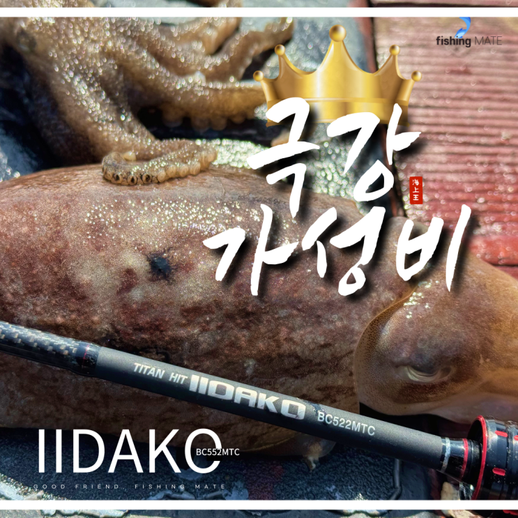  선상 갑오징어 쭈꾸미 낚시대 추천 티탄히트 이이다코 552MTC