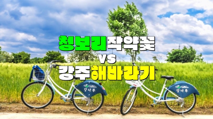 경남 5월 6월 꽃구경 가볼만한곳 · 함안 칠서 청보리 작약축제 VS 강주 해바라기꽃축제 개화시기 경남 5월 6월 꽃구경 가볼만한곳 · 함안 칠서 청보리 작약축제 VS 강주 해바라기꽃축제 개화시기