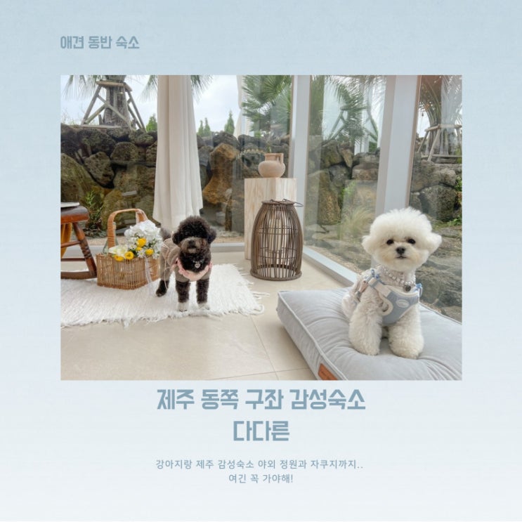  제주 구좌 감성숙소 다다른, 독채 야외 자쿠지와 강아지동반까지