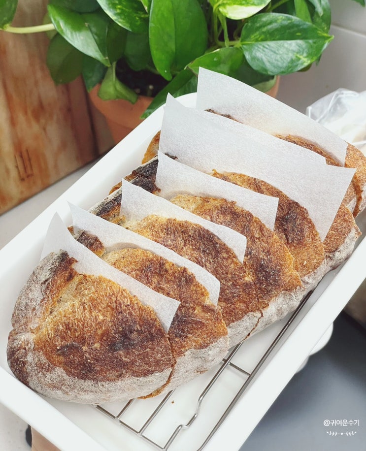  치아바타 빵 보관방법 감성빵집 택배 천연발효빵 사워도우 먹는법