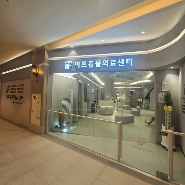  경기도 동탄동물병원 이프동물의료센터 강아지 건강검진 후기