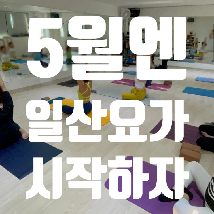  일산요가 5월엔 시작하자