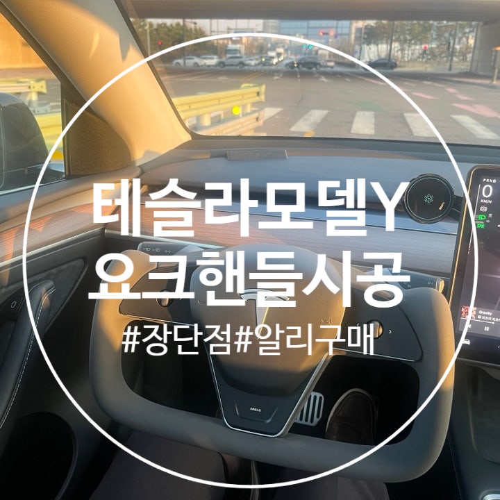  테슬라 모델Y 요크핸들 교체 후기( 알리익스프레스 구매 / 장단점정리)