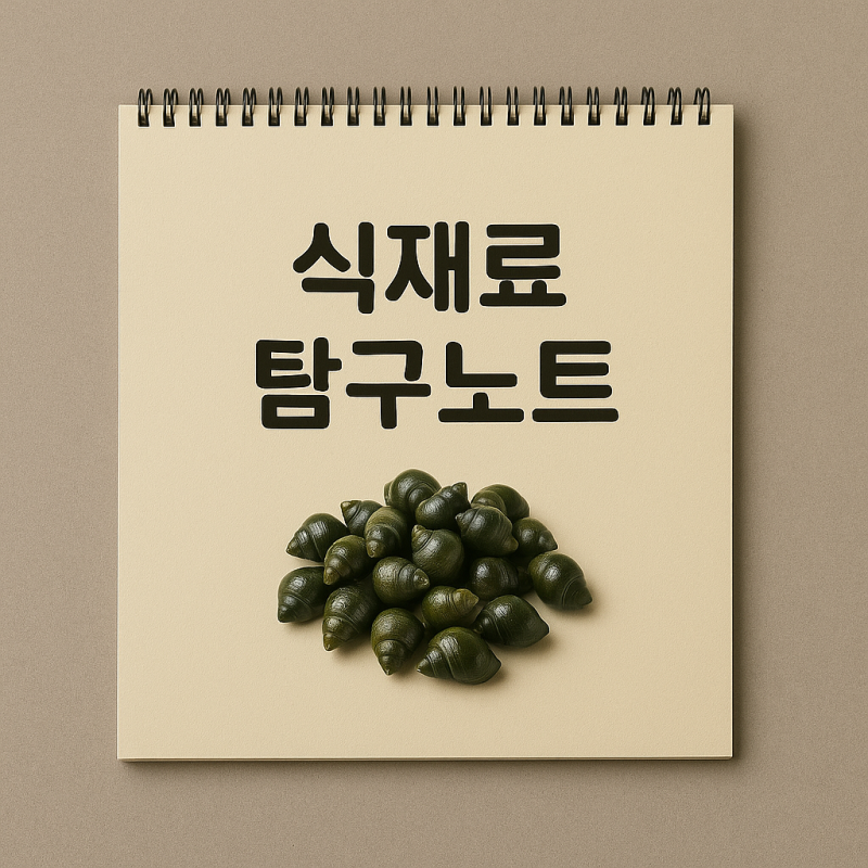 5월 제철 음식 다슬기 |효능부터 손질·보관·요리법까지