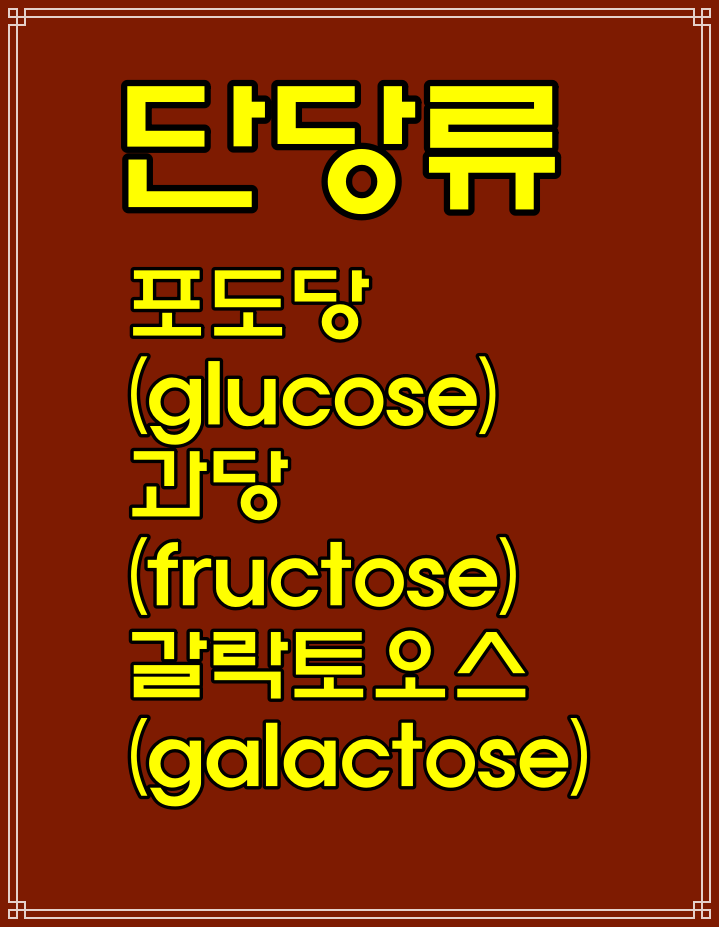  탄수화물 뜻, 당질/당류 차이. 단당류 이당류 다당류 종류