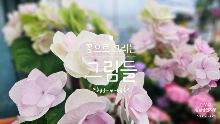  꽃으로 그림을 그린 날