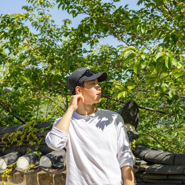  5월 경기도 가볼만한곳 여행 꽃구경 수진사